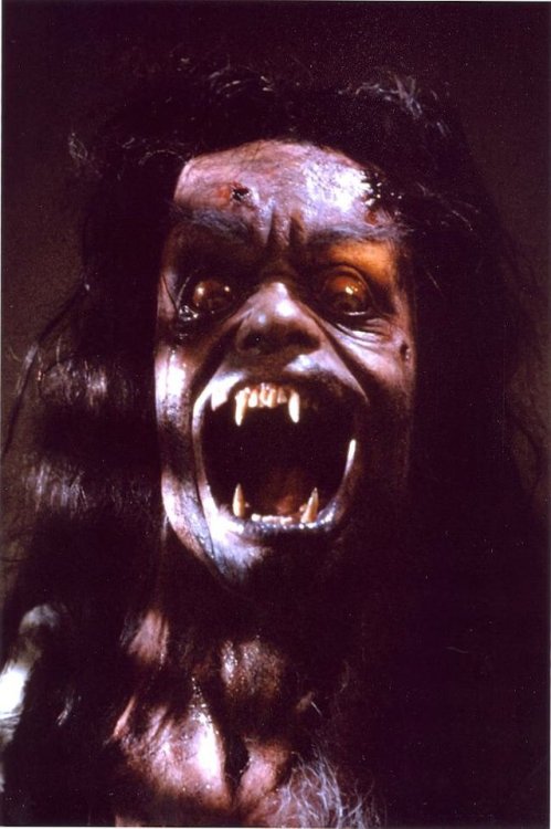 the howling (1981)