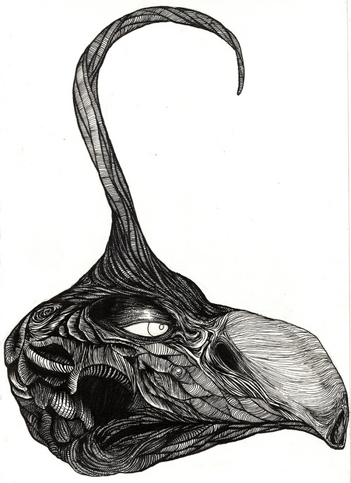 bowelfly:Holy shit I actually completed a moderately-sized creative project for once in my life. I wasn’t able to make it all the way through inktober, but at least I got all the Skeksis drawn.
