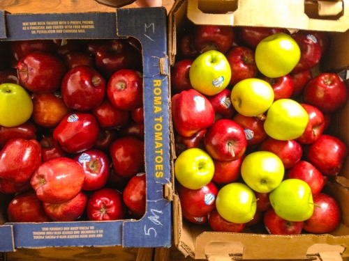 Temporary outdoor intervention going in on Friday. Stay tuned for photos.
#art #apples #nature