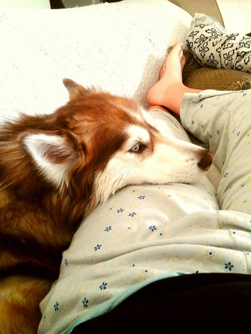 We cuddle until she feels better