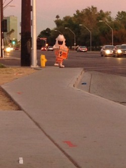 weezl:  I’m waiting for the bus and he just keeps getting closer and closer I don’t know what to do 