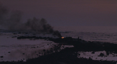 liinza:Maboroshi no hikari, Hirokazu Koreeda, 1995