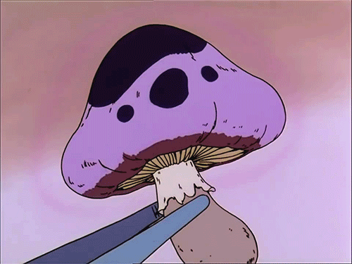 morgasmo - Razzle Dazzle
