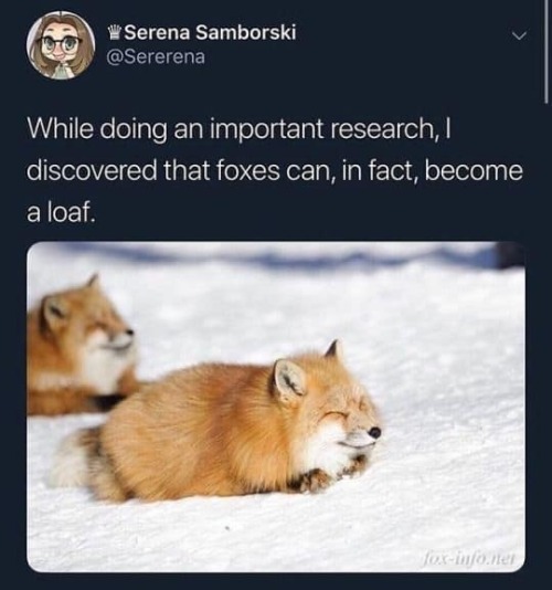 eeveestarstudios-blog - ASK EEVEE (and others)