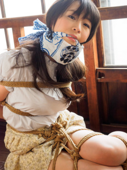 mai8chan:Shibari Kasumi HouraiModel Hazuki