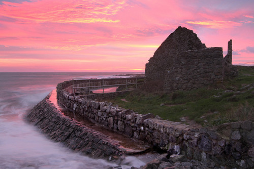 The Salt House, Port Eynon  |  Paul Edwards