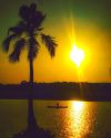 #sunset #vavvamoola #lake #vellayanilake #eveningsky #kerala #trivandrum #coconuttree #rideout #cyclinglife (at Vawamoola Lake)https://www.instagram.com/p/B8BulxQA-6T/?igshid=1cu4jdakuf58h