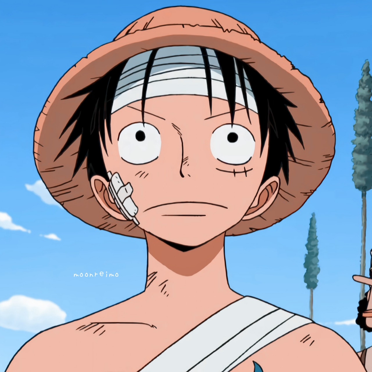 Free Download 101 Luffy Pfp  Monkey D Luffy Pfps for Discord