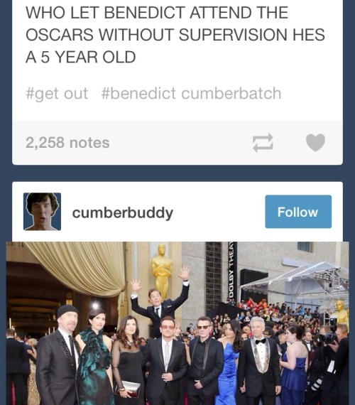 superwhofan18:Actually though.Does this count as my dash doing a thing?