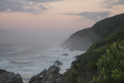 SoftThe Otter Trail, South Africa