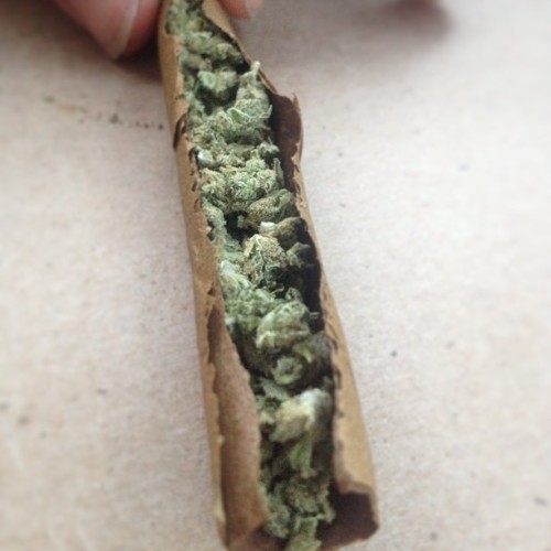 weedporndaily:  cannabisari