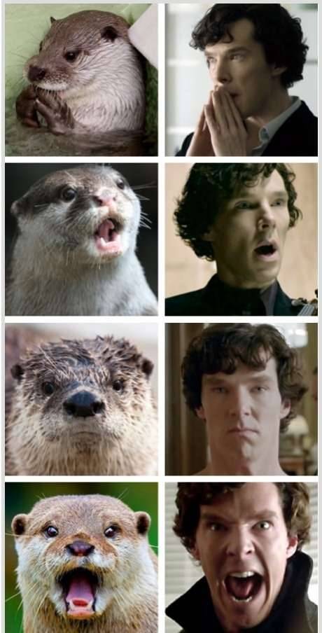 violinist-in-the-tardis: siriuslybenaddicted:  I’m not sorry for the amount of