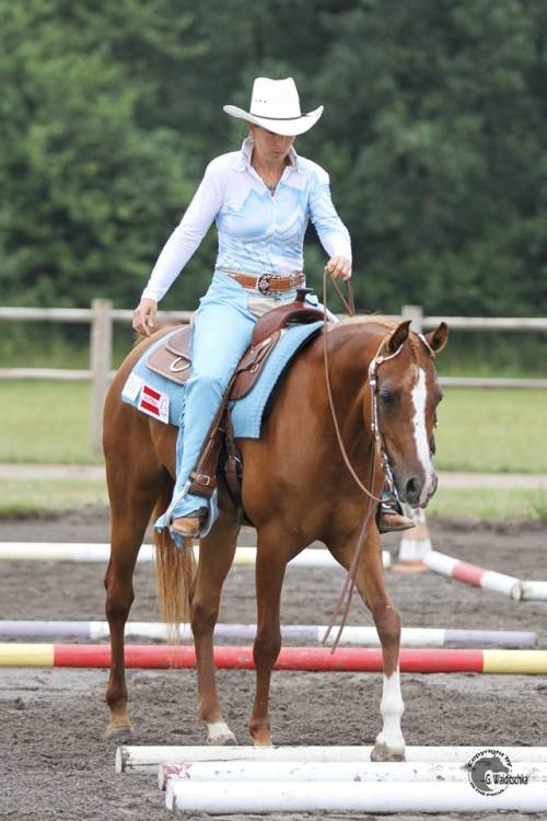 all-the-horses:Avellana QahiraL.M. Libretto X ShamalArabian, MareBorn 2002