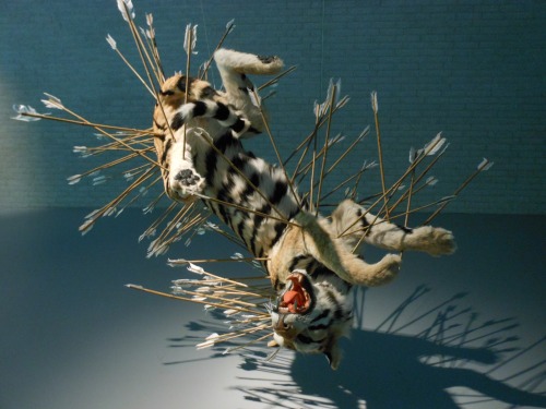 Installation sculpture by artist Cai Guo-Qiang.  These are sculptures of tigers suspended from the c