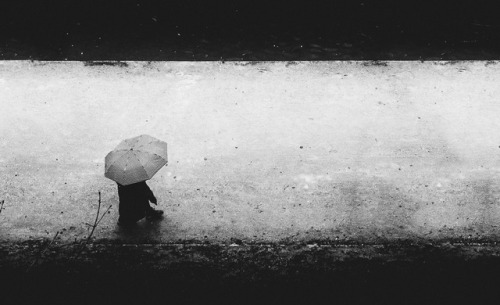 6thsensical:“As for myself, I just kept walking, thinking: once more I am grateful to be present. Ho