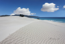 fuckyeahsardinia:  Sand dunes, Teulada, Sardinia Le dune di Porto Pino - Sardegna by * francesca * on Flickr.