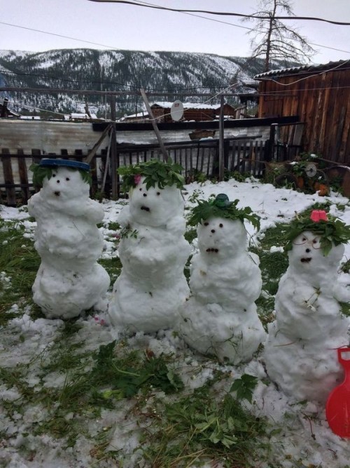 weirdrussians:   Typical summer in Yakutia, Russia  