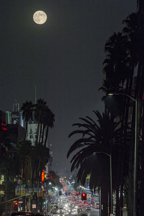 vurtual:Hollywood Harvest Moon (by Dan Gabai)