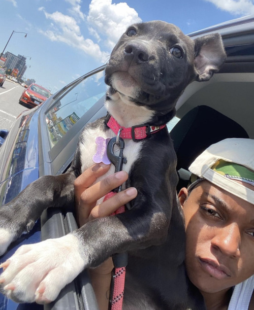 Gio Is Almost Half Way To His Goal Please Keep Sharing And Donating Anything You Can.