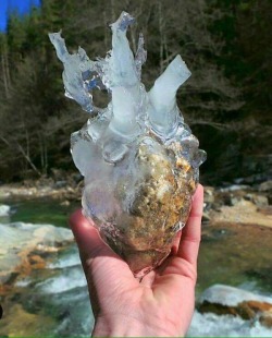 caraatplay:  wittyusernamed:  magistrate-of-mediocrity:  It looks like the heart of an ice golem.  Loot after a battle  How is this so perfectly shaped?? 