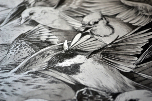 lohrien:  Illustrations by Teagan White website l tumblr 