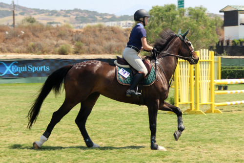 Ashley LeCron & HHA Monti at Oaks Week III June 2016