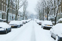 englishsnow:  Snow Day 