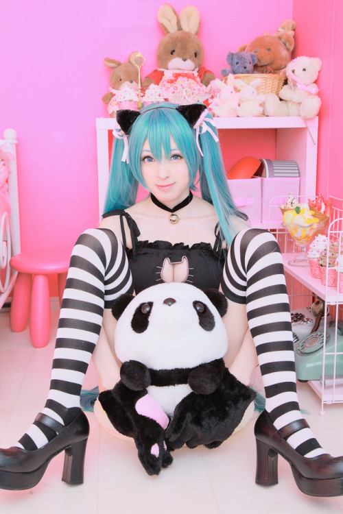 cosplayjapanesegirlsblog: Vocaloid - Hatsune Miku (HATSUNENOA) [Sakura] 6-3