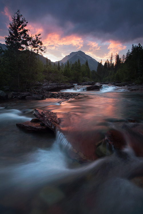 acracies:  Montana Wild by Scott Hotaling  