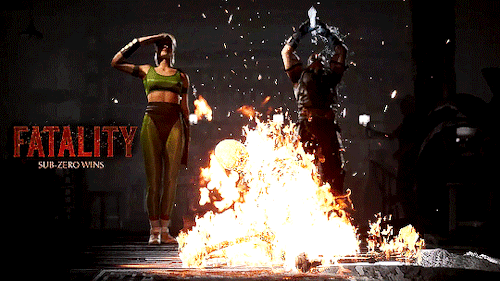 FATALITY! Sub-Zero Wins.