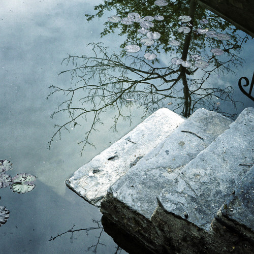 dreaminginthedeepsouth:itsloriel: Louise LeGresley _ blue stairs _ Angers, France * * * *“Doing 