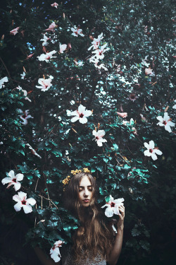 floralls:  18 (by AdiDekel)