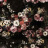 the-light-of-stars:I’ve just made a behavioral study on birds (aka. I’ve fed