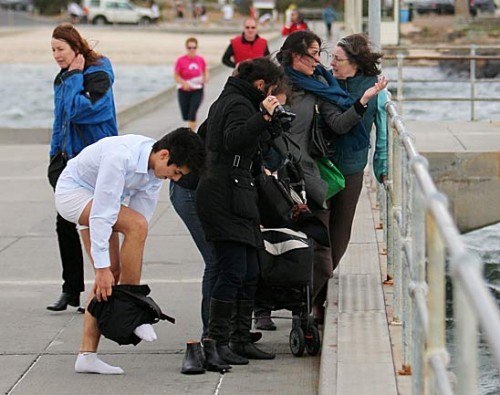 derekisme:  Heroic Male Model Strips To Save Drowning Dog Sue Drummond and her Maltese-Shih