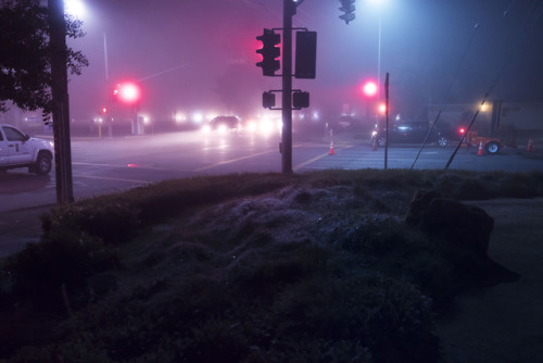 anthony-samaniego:fog report