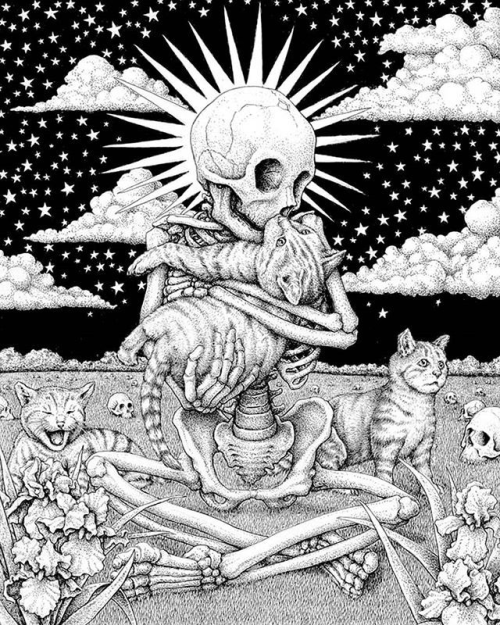 everythingstarstuff:‘Skeleton with Cats’ by Win Wallace