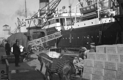 The Copenhagen free port between 1928 - 1934.Loading of the American steamer S / S United States (Bu