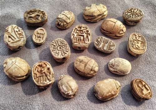 On the curator&rsquo;s desk this morning—an infestation of scarab beetles! The ancient Egy