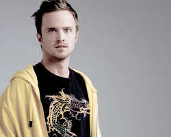 :  &ldquo;I pictured Jesse as an average-looking guy, you know, a 25-year-old snot that cooks meth. On the spectrum of life, he’s a loser,” says Breaking Bad creator Vince Gilligan. So when Aaron Paul walked in to audition for the role of Jesse Pinkman