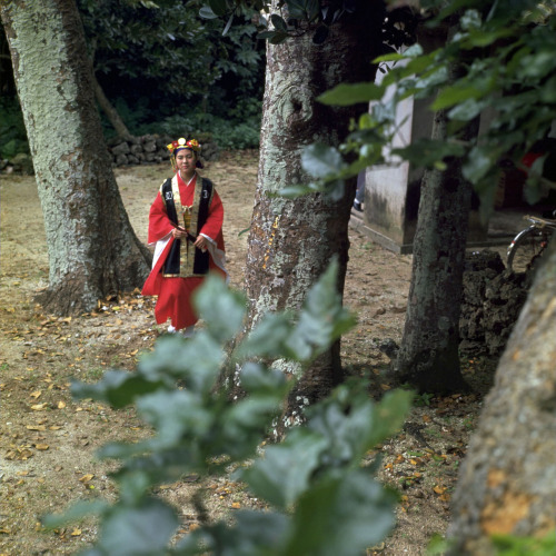 Life on remote Japanese islands, Okinawa Prefecture, Japan, November 1967