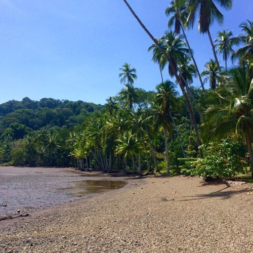 costaricaexperts:  Some #beach. Somewhere. ☀️ Escape to @playacativo on the #remote Osa Peninsula fo