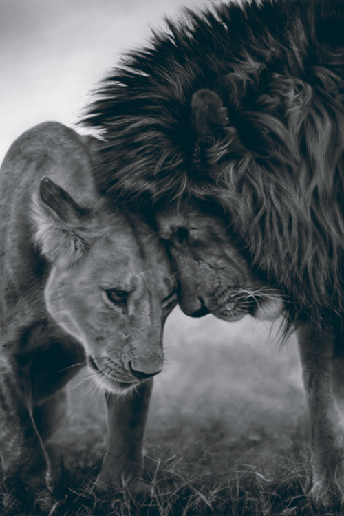 emilxy:  Untitled on We Heart It.