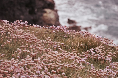 godrevy:13.6.15