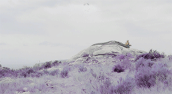 lannisten:I have never been nothing. I am the blood of the dragon.
