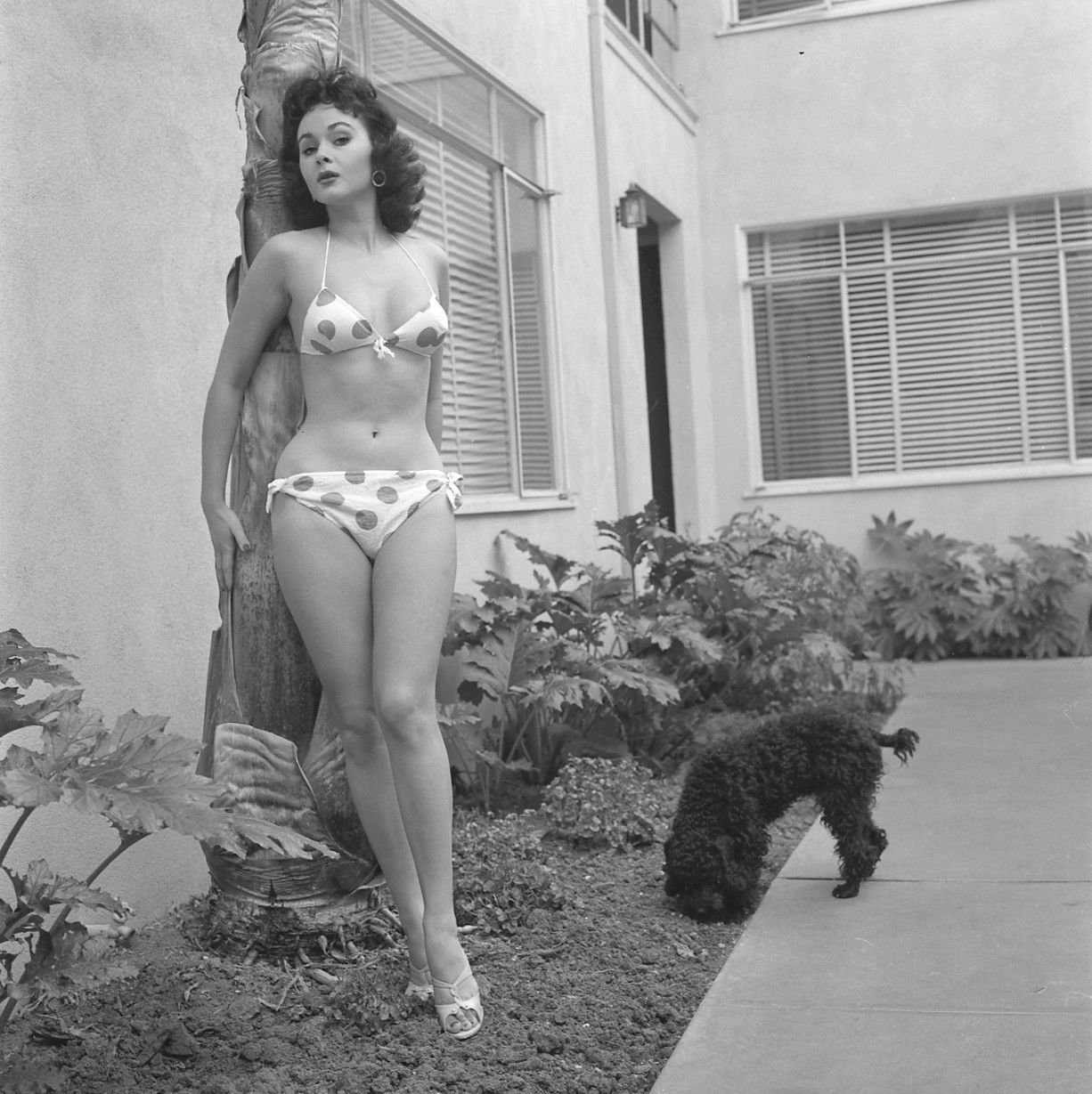 creepingirrelevance:  retrogirly:  Marla English   and Dawg 