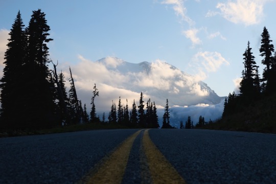 jenifir-juniper:End of the day in Mount Rainier National Park