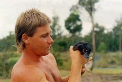 swift-harmony:  If you don’t want this beautiful picture of Steve Irwin holding a baby platypus on your blog then I’m sorry but I don’t know what you’re doing with your life. 