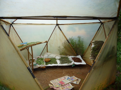 growthemedicine:  Geodesic drying dome (the top triangular panel folds down to complete the structure) - my favourite part of the permaculture centre. I’m definitely going to build my own when I have more space to work with. 