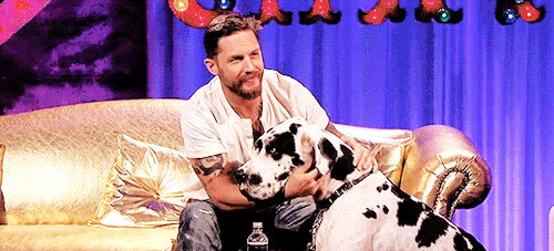 rideitslut:  Tom Hardy petting a dog on Chatty Man (ﾉ∀`*) 