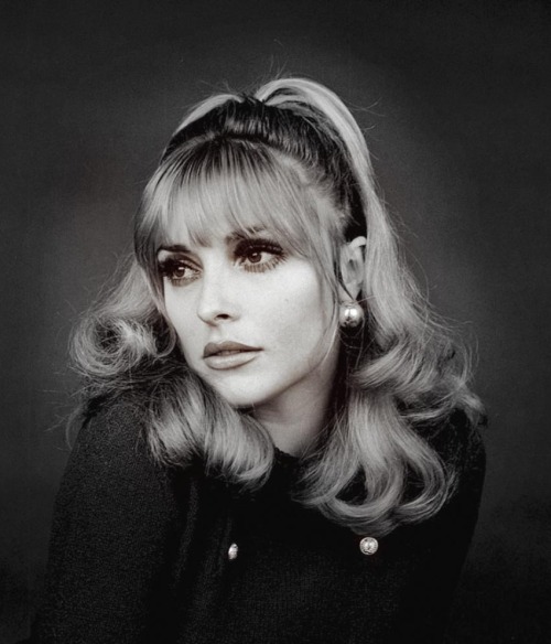 My eternal favourite, Sharon Tate.